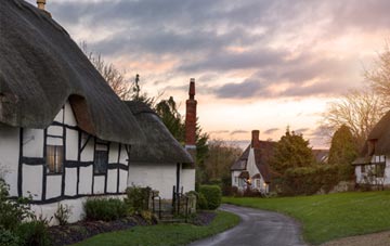 is Todwick thatch roofing popular