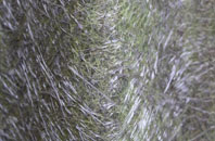 Todwick fibreglass roof work